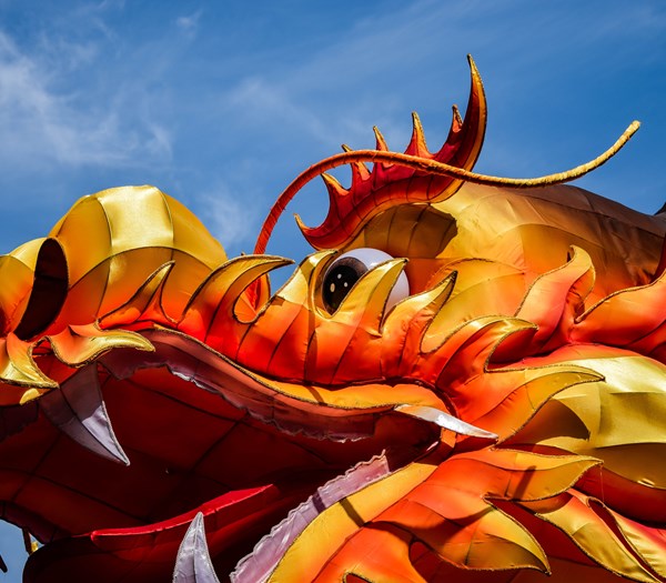 dragon.jpg